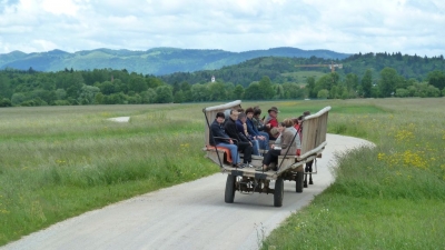 Kopija od 274
