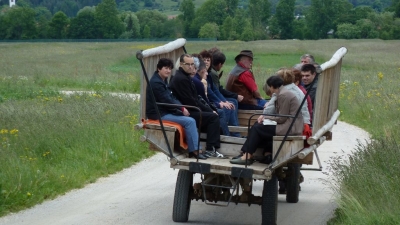 Kopija od 275