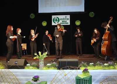 IMG_8532-001_filtered