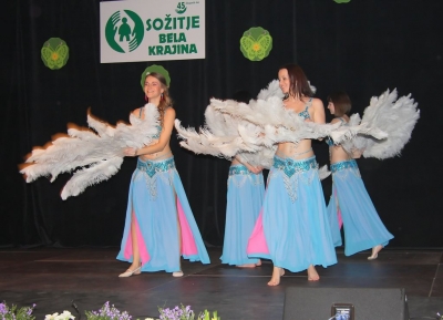 IMG_8715-001_filtered