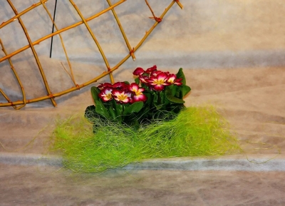 IMG_8782-001_filtered